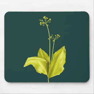 Tapis De Souris Garlic sauvage vert Plante Nature Adulte Botaniste