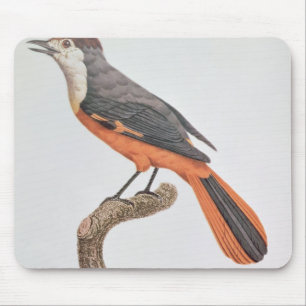 Tapis De Souris Geai orange