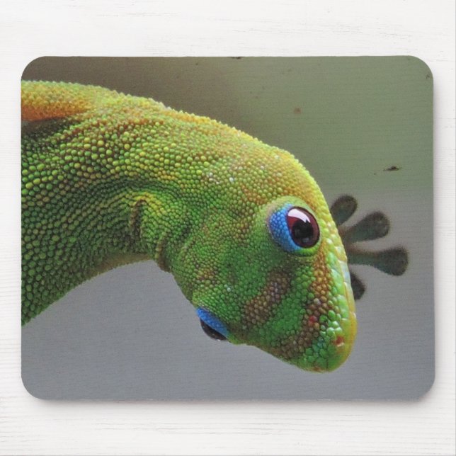 Tapis De Souris Gecko (Devant)