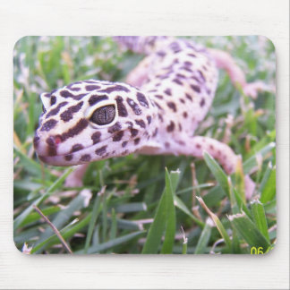 Tapis De Souris Gecko de léopard