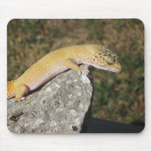 Tapis De Souris Gecko de léopard de SHTCT