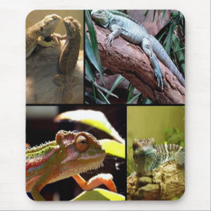 Tapis De Souris Gecko lézards et Chameleons