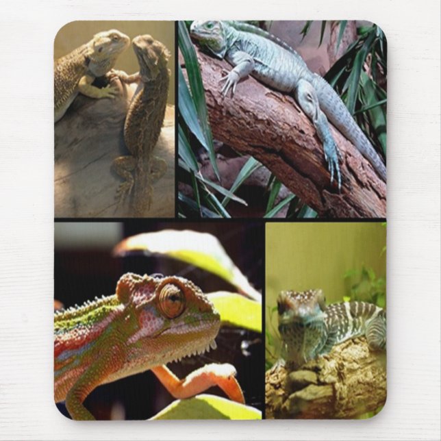 Tapis De Souris Gecko lézards et Chameleons (Devant)