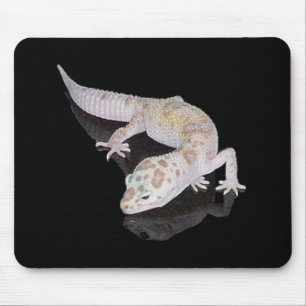 TAPIS DE SOURIS GECKO MOUSEPAD DE LÉOPARD D'ENIGMA ALBINOS