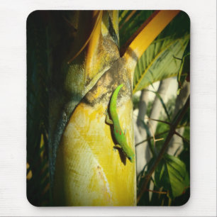 Tapis De Souris Gecko tropical mousepad