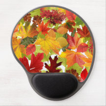 Feuilles automnales d'automne