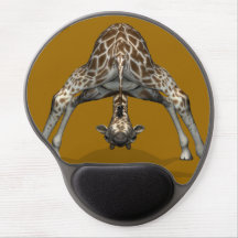 Une girafe pleine de souplesse
