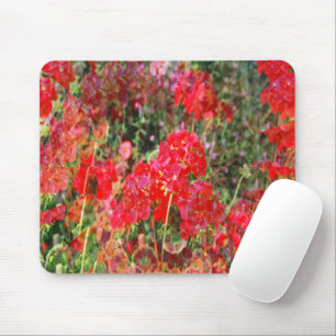 Tapis De Souris Geraniums florissants.....