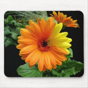 TAPIS DE SOURIS GERBER DAISY-MOUSEPAD