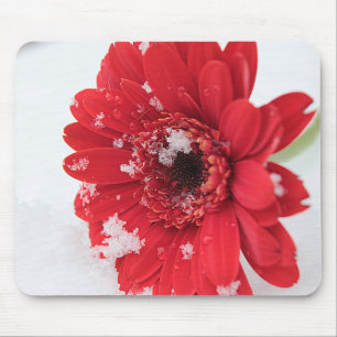 Tapis De Souris Gerbera