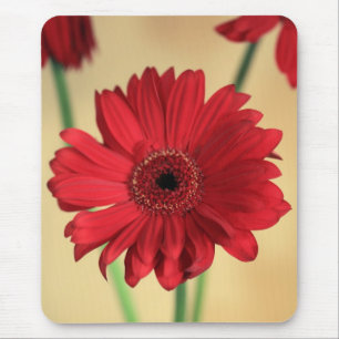 Tapis De Souris Gerbera