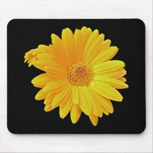 Tapis De Souris Gerbera Daisy (Gerbera hybrida) - Jaune