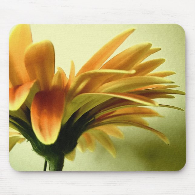 Tapis De Souris Gerbera Fleur Mousepad (Devant)