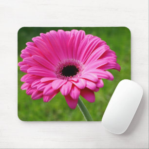 Tapis De Souris Gerbera Rose Daisy
