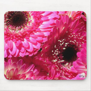 Tapis De Souris Gerberas roses