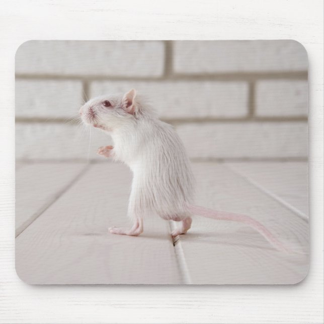 Tapis De Souris Gerbil debout (Devant)