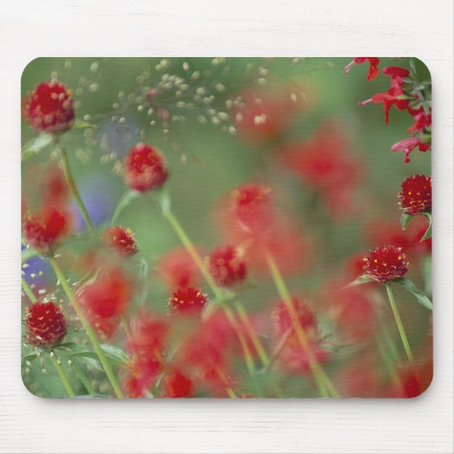 Tapis De Souris Ghomphera_zazzle de P2290C_strawberry (Devant)