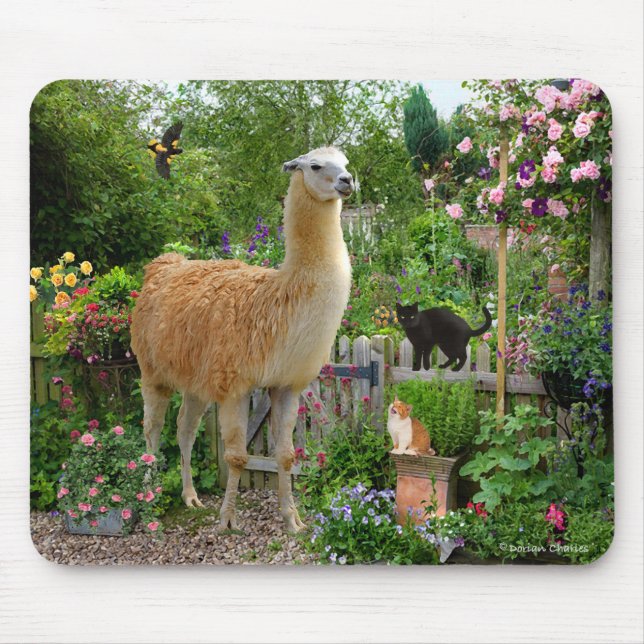 Tapis De Souris "Gigi le lama" Mousepad (Devant)