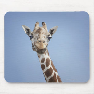 Tapis De Souris Girafe 2