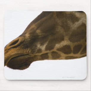Tapis De Souris Girafe, fin