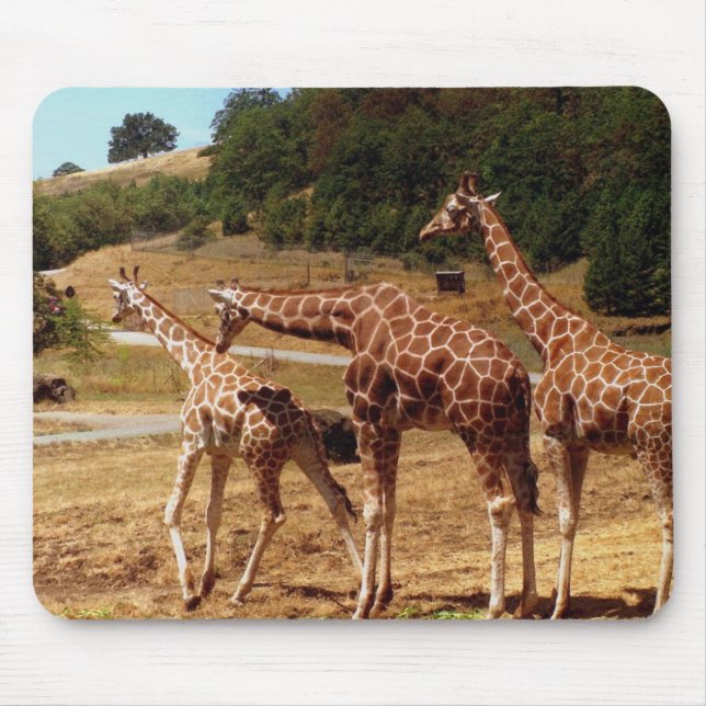 Tapis De Souris Girafes (Devant)