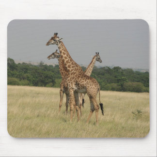 Tapis De Souris Girafes de Massai