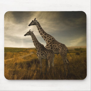 Tapis De Souris Girafes et le paysage