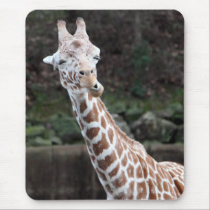 Tapis De Souris Giraffe
