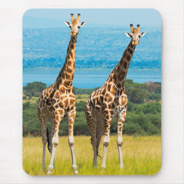 Tapis De Souris Giraffes sur la Savanna, Ouganda (Devant)