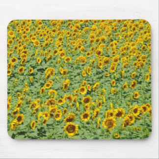 Tapis De Souris Gisement jaune de tournesol