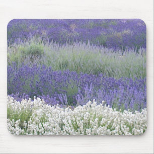 Tapis De Souris Gisement Mousepad de lavande