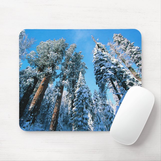 Tapis De Souris Glace et neige | Parc national de Sequoia, Califor (Avec souris)