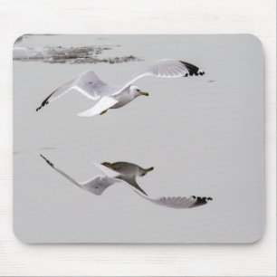 Tapis De Souris Goéland reflété