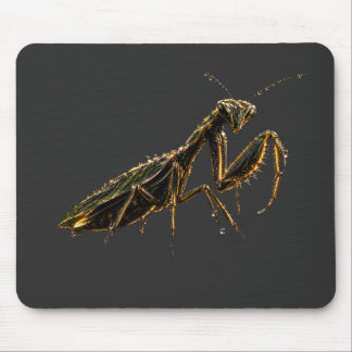 Tapis De Souris Golden Praying Mantis Black & Gold