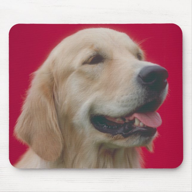 Tapis De Souris Golden retriever (Devant)