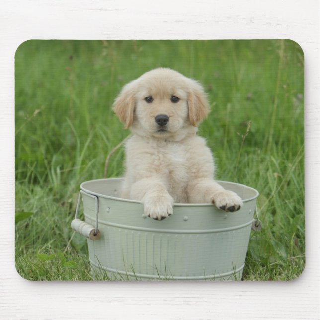 Tapis De Souris Golden Retriever (Devant)