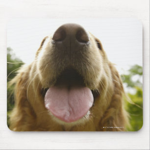 Tapis De Souris Golden retriever 5