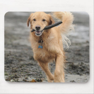 Tapis De Souris Golden Retriever Courant Avec Bâton Dans La Bouche