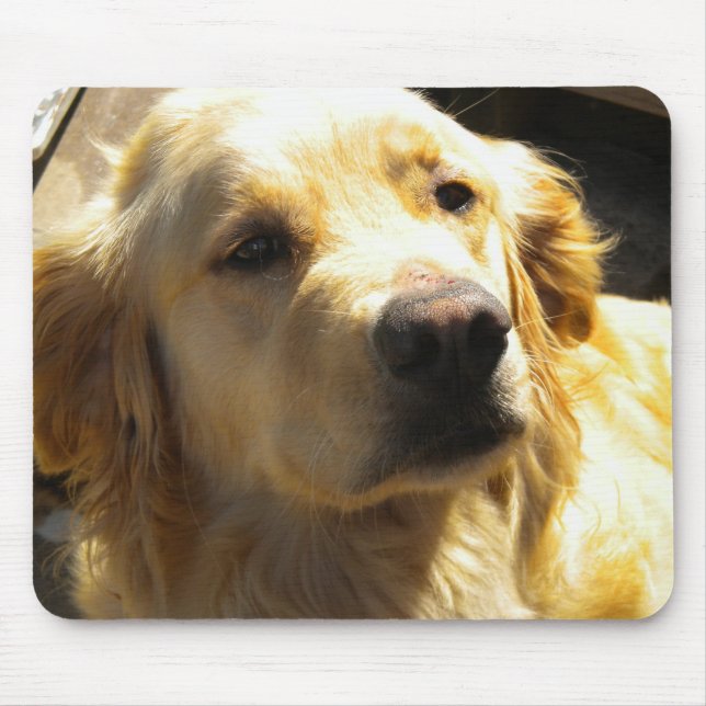 Tapis De Souris Golden retriever Mousepad (Devant)