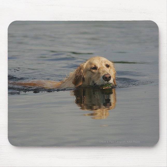 Tapis De Souris Golden retriever nageant (Devant)