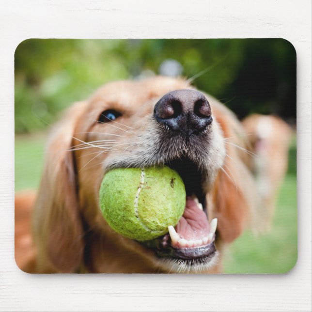 Tapis De Souris Golden Retriever With Tennis (Devant)