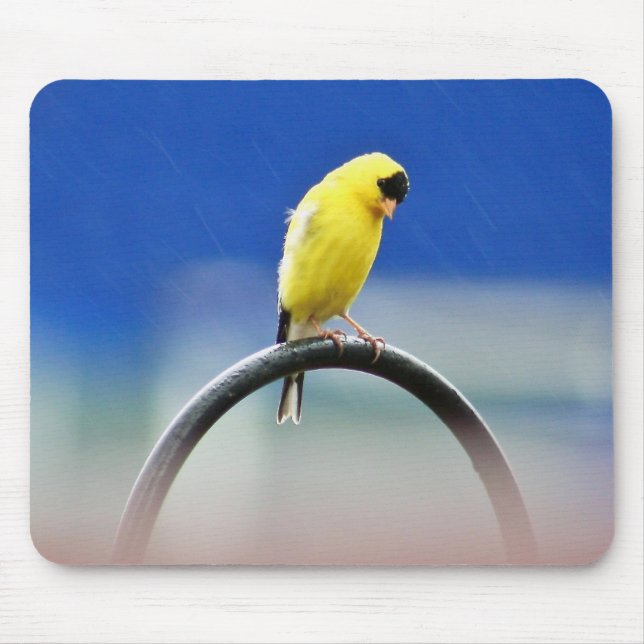 Tapis De Souris Goldfinch Mousepad (Devant)