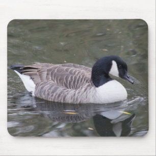 Tapis De Souris Goose du Canada