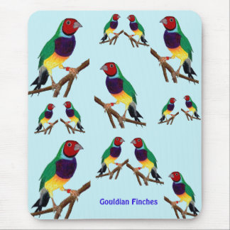 Tapis De Souris ~ Gouldian Finch ~ Art original ~ Pad souris