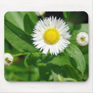 Tapis De Souris Graine blanche