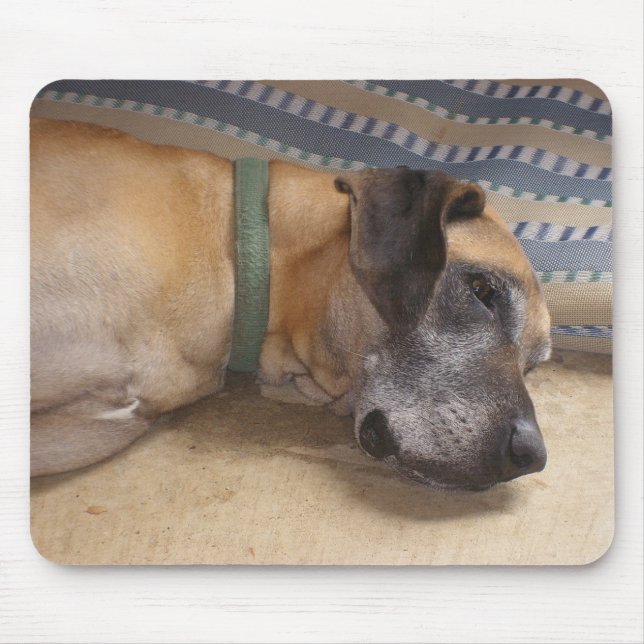 Tapis De Souris Grand great dane doux (Devant)