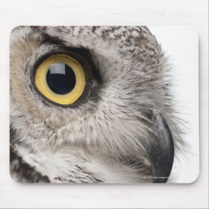 Tapis De Souris Grand hibou à cornes - Bubo Virginianus