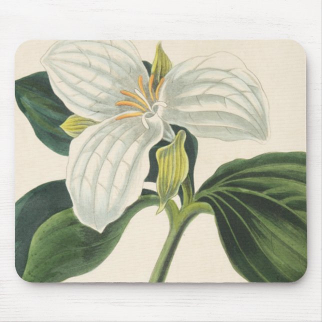 Tapis De Souris Grand Trillium fleuri (Devant)