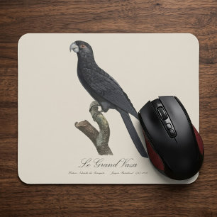 Tapis De Souris Grand Vasa, Coracopsis Vasa Illustration