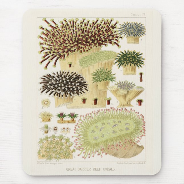 Tapis De Souris Grande barrière vintage de corail d'Australie (Devant)